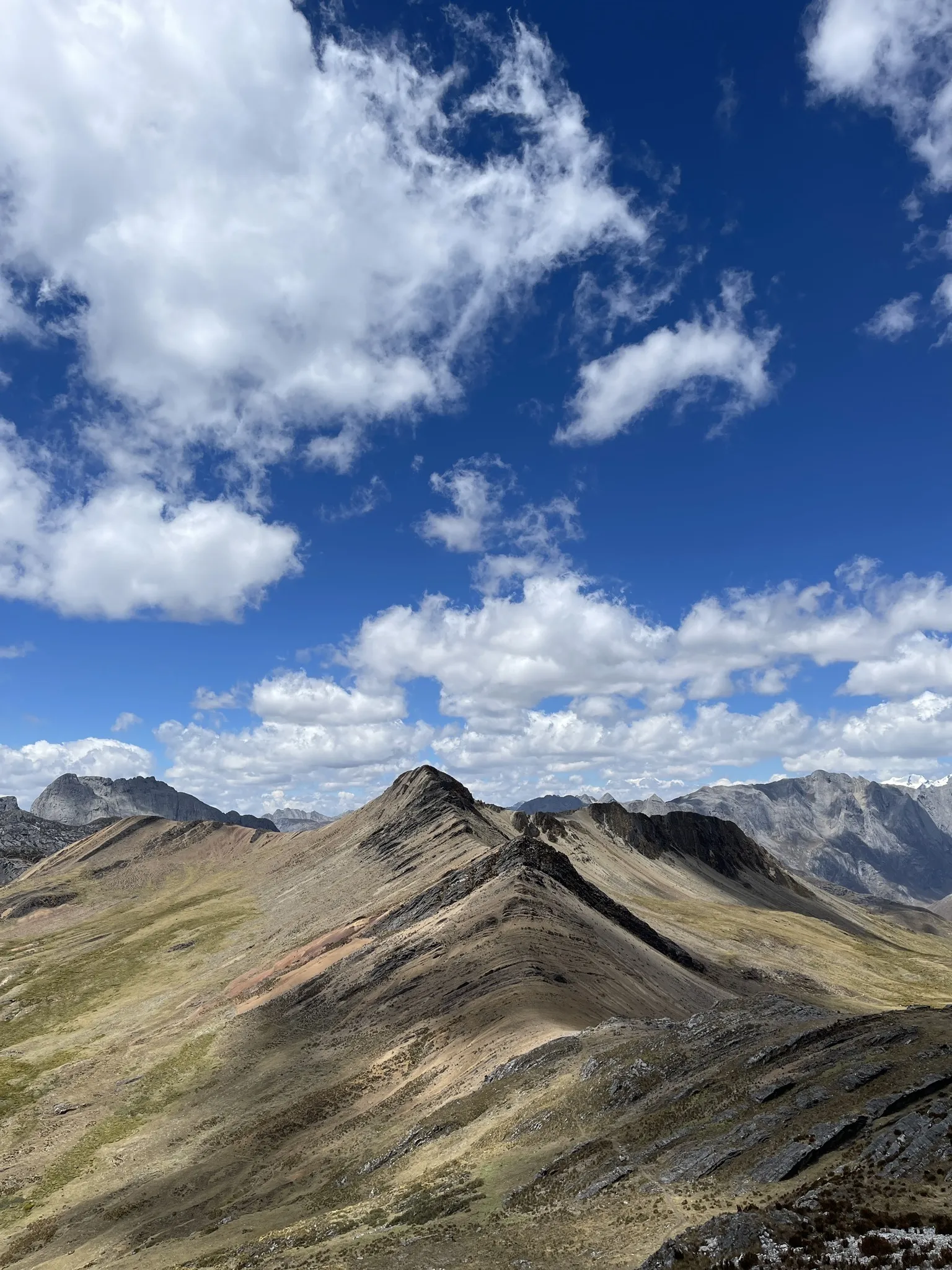 Foto panorámica de Mitucocha